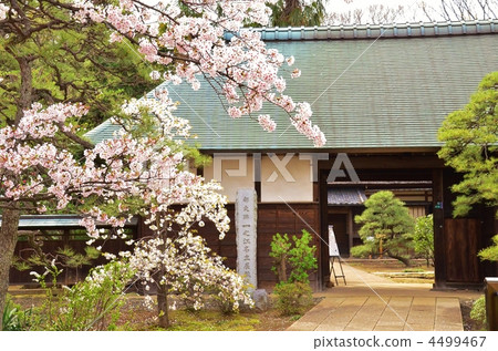 Spring of a master house Spring of a master house 4499467