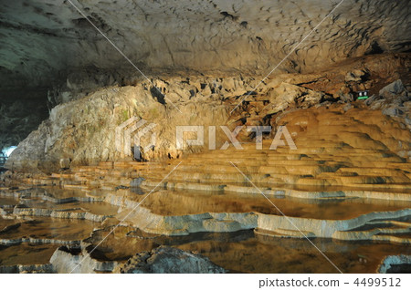 Akiyoshi-dong 100 sheets dish Akiyoshi-dong 100 sheets dish 4499512