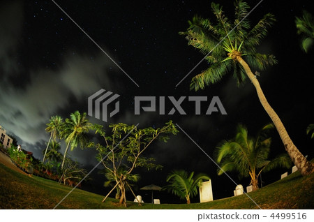 Star of the sky  4499516