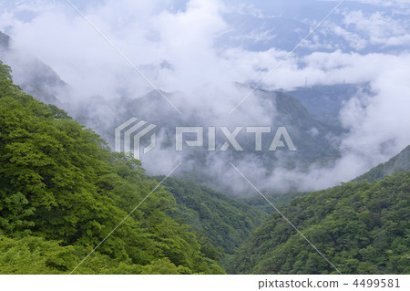 赤城山 群馬縣 在山里 4499581