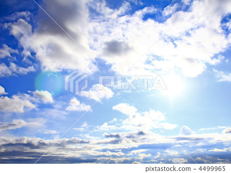 Violet ebonite chinchilla . Violet ebonite chinchilla . 4499965