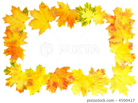 Frame of Autumn Leaf over white. Frame of Autumn Leaf over white. 4500417