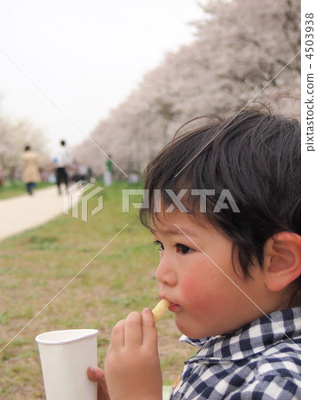 Picnic boy 4503938