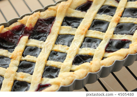 卡西斯和藍莓餡餅 4505480