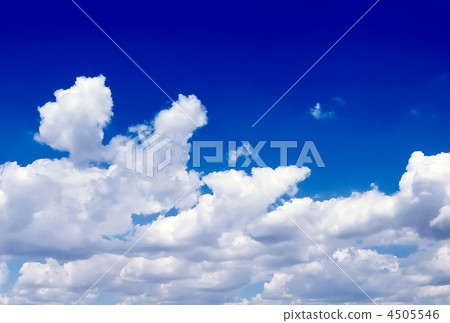 Violet ebonite chinchilla . 4505546