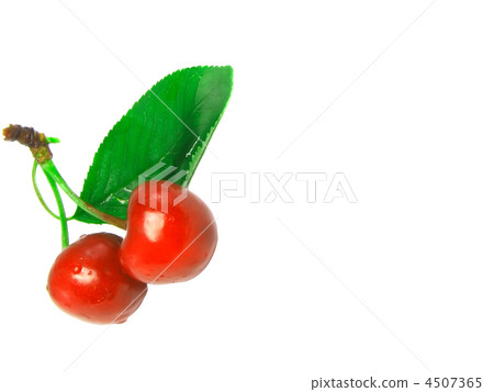 A lot of cherrys with stem. A lot of cherrys with stem. 4507365