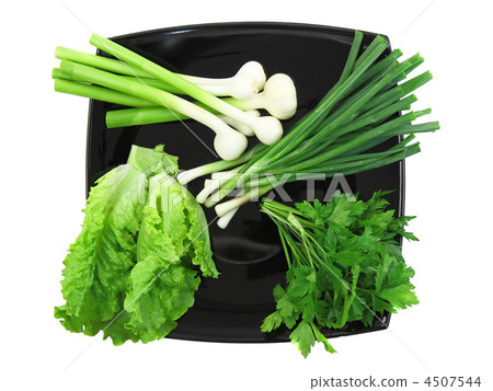 Young onion, garlic and letucce. Isolated. Young onion, garlic and letucce. Isolated. 4507544