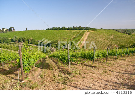 Typical Tuscan landscape 4513316