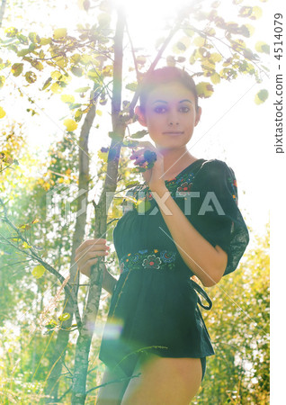 woman at the birch 4514079
