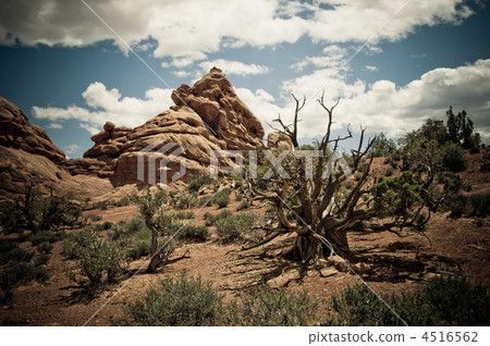 Arches National Park, Utah, USA Arches National Park, Utah, USA 4516562