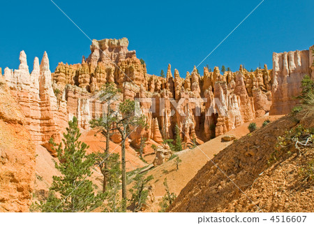 Red pinnacles (hoodoos) of Bryce Canyon, Utah, USA Red pinnacles (hoodoos) of Bryce Canyon, Utah, USA 4516607