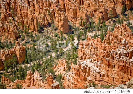 Red pinnacles (hoodoos) of Bryce Canyon, Utah, USA 4516609