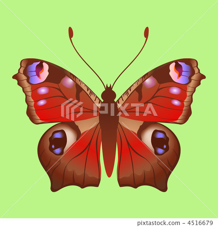 butterfly butterfly 4516679