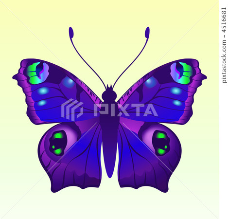 butterfly butterfly 4516681