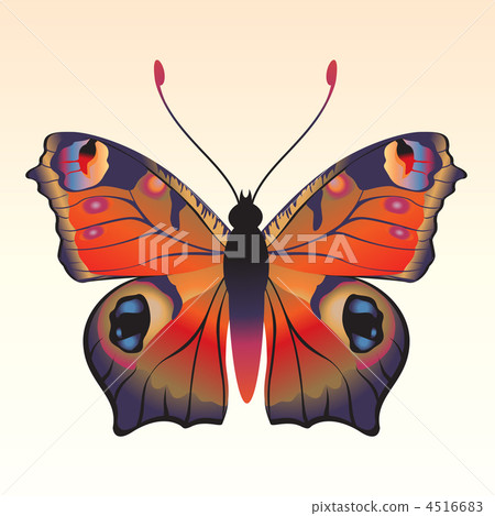 butterfly butterfly 4516683