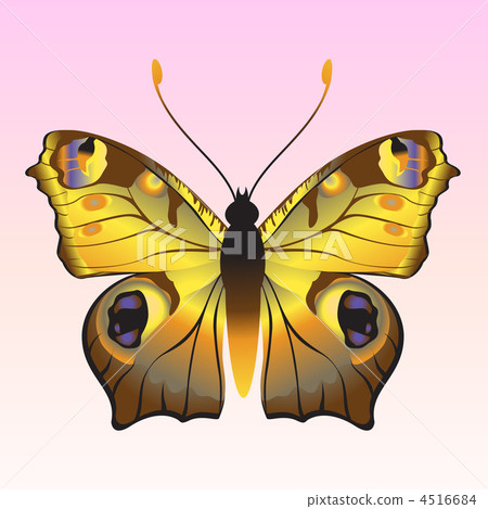 butterfly 4516684