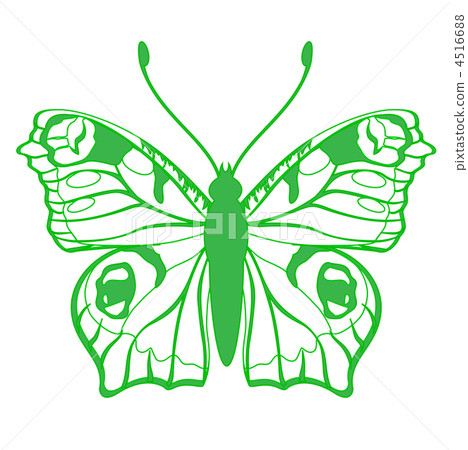 butterfly butterfly 4516688