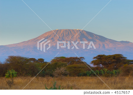kilimanjaro mountain at the sunrise 4517657