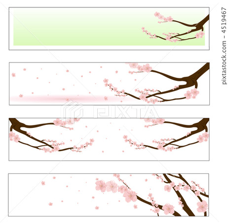 flowered sakura flowered sakura 4519467