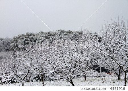 One side silver world One side silver world 4521916