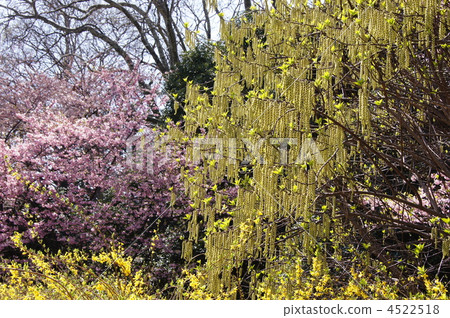 April bee Kibushi · Kibushi 22 4522518