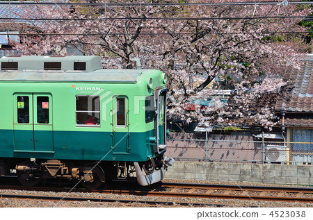 京阪火車2621宇治線Megokibashi Sakura 1 京阪火車2621宇治線Megokibashi Sakura 1 4523038