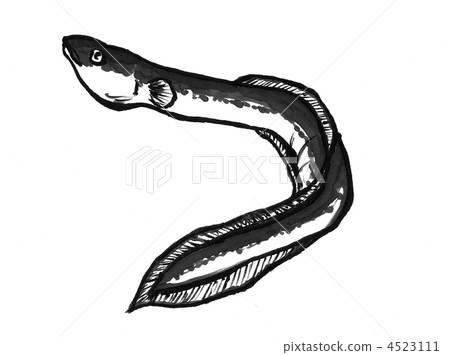 鰻魚 4523111