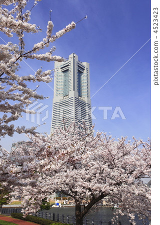 Landmark tower and cherry blossoms 4523423