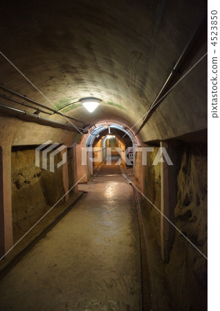 海軍坑沖繩 4523850