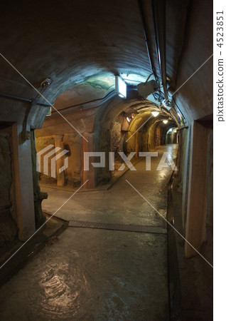 海軍坑沖繩 4523851