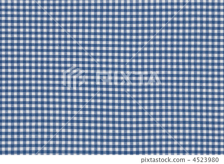 格子檢查 格子檢查 4523980