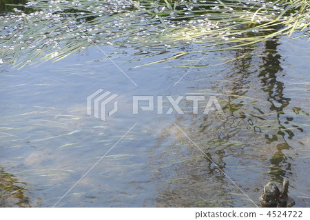 babble, small stream, rivers 4524722