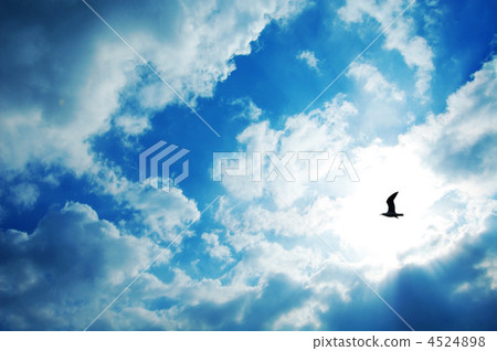 Sky and birds 4524898