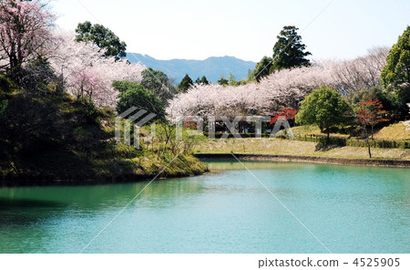 Kunimidai Park 4525905