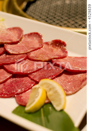  Grilled meat 4529839