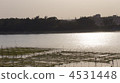 Okutake Island 4531448