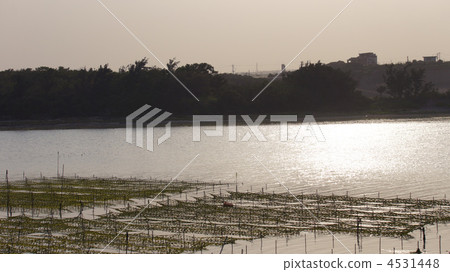 Okutake Island 4531448