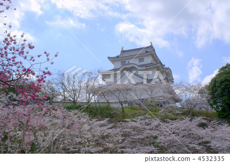 Castles and cherry blossoms Castles and cherry blossoms 4532335
