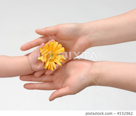 福利形象 4532862