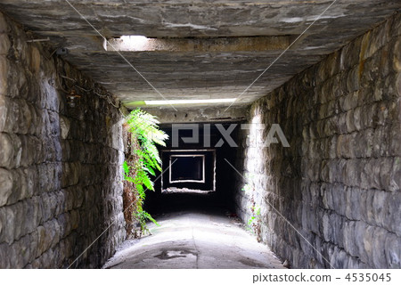 Manda Anti-trail Sakura Town Tunnel Manda Anti-trail Sakura Town Tunnel 4535045