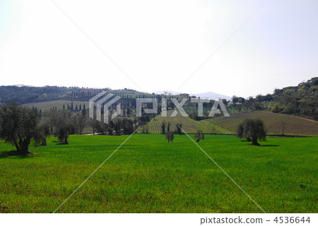托斯卡納Val d'Orcia 托斯卡納Val d'Orcia 4536644