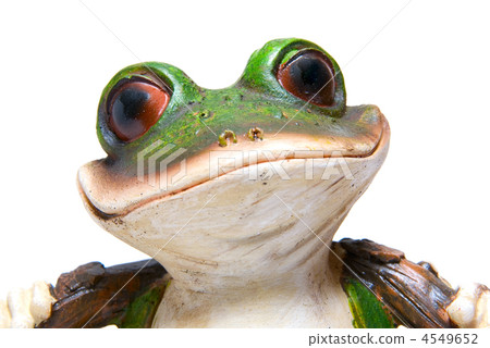 frog macro frog macro 4549652