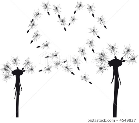 love dandelion concept 4549827