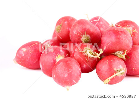 Red radishes 4550987