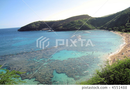 夏威夷哈瑙瑪灣 夏威夷哈瑙瑪灣 4551488