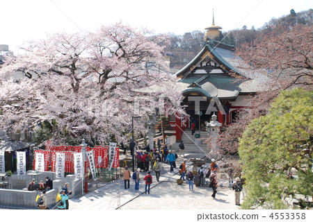 Hachioji Takao Daikoji Hachioji Takao Daikoji 4553358