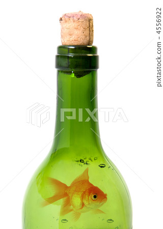 Bottle of wine and goldfish 4556922