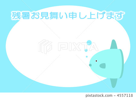 Summer heat summer 4557118