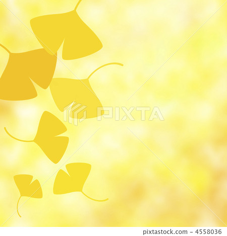 銀杏 銀杏 4558036