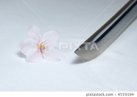 劍尖和櫻花 劍尖和櫻花 4559194